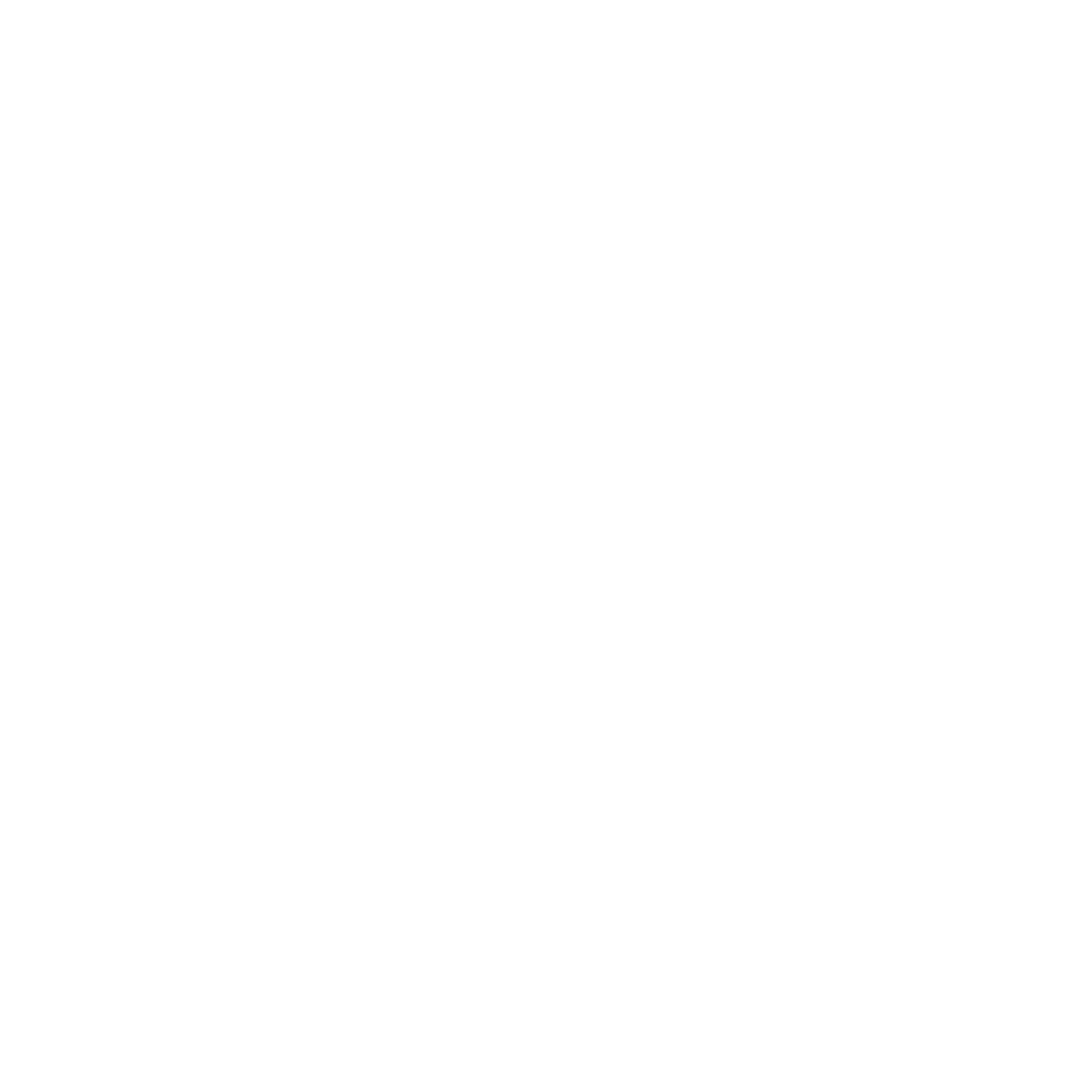3 Logo BlueLion-blanco